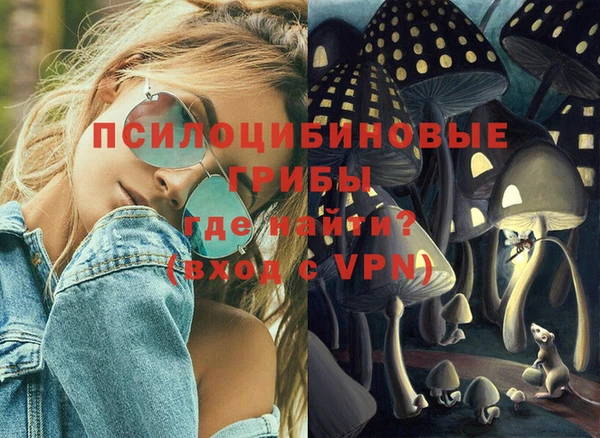 ешки Аркадак