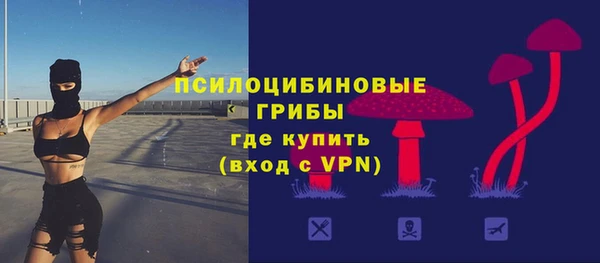 ешки Аркадак