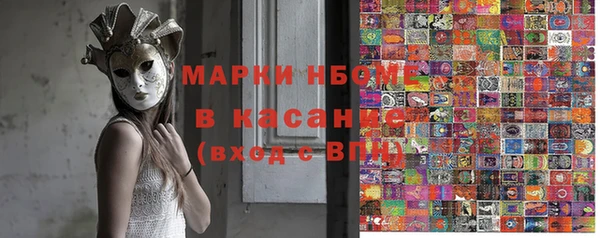 ешки Аркадак